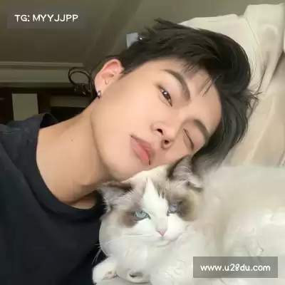 嵇蒙飚